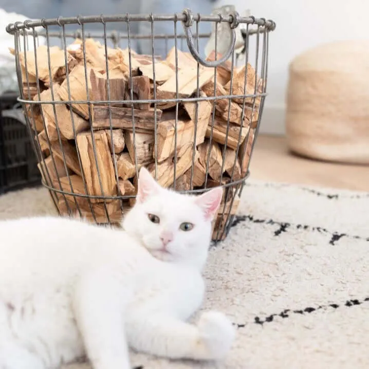 Wire Storage Basket